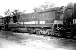 SOU 3504 - rare for Brunswick, GA